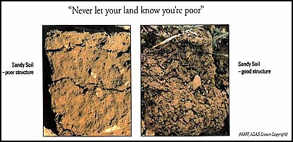 good soil