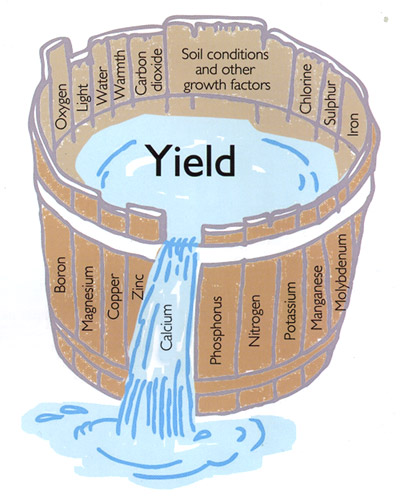 Leibig’s Barrel